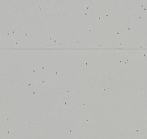 Forbo Sphera Energetic 50202 concrete фото 2 | FLOORDEALER